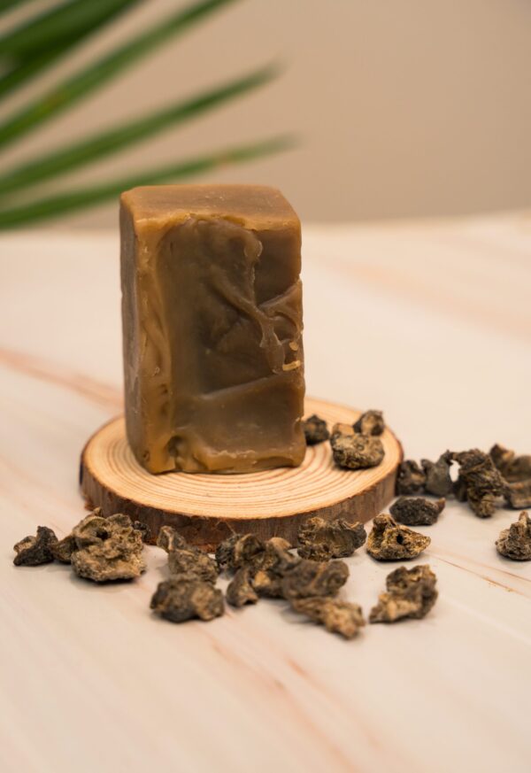 Hibiscus Amla Shampoo Bar - Image 3