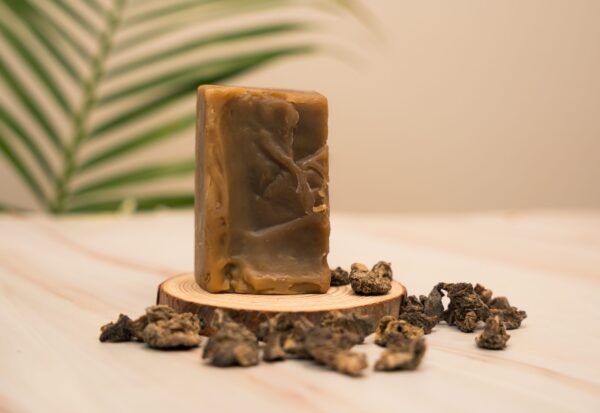 Shampoo Bar