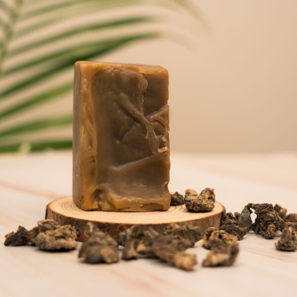 Shampoo Bar